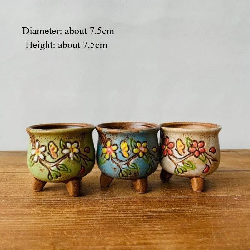 Succulent Ceramic Flower Pot Hand Painted Seedlings Succulent Plant