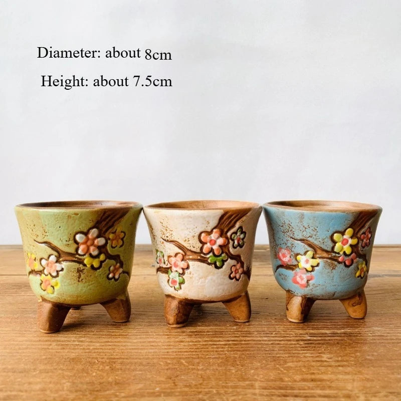 Succulent Ceramic Flower Pot Hand Painted Seedlings Succulent Plant