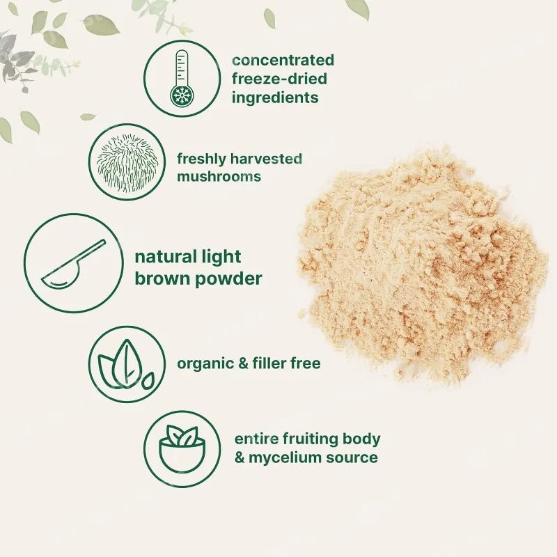 Organic Lion’s Mane Mushroom Powder Supports Brain Focus Energy and Immune