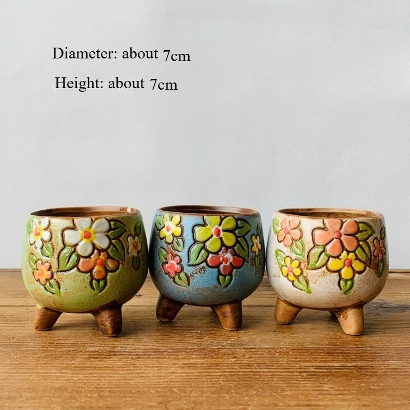 Succulent Ceramic Flower Pot Hand Painted Seedlings Succulent Plant