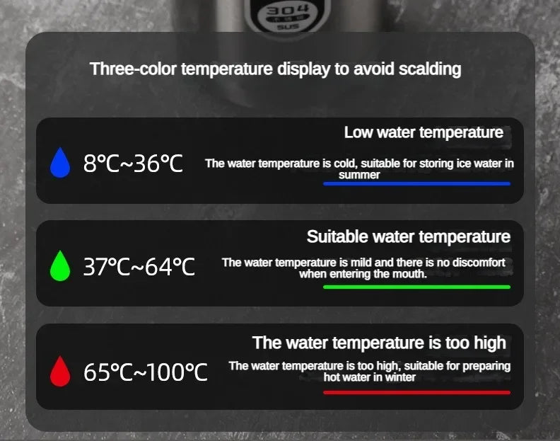 SoftAura Stainless Steel Thermos Bottle LED Temperature Display Portable Cup